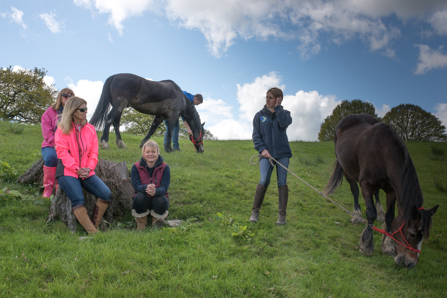 Horse Whispering Experience Working with Horses at Mid Wales Off Road